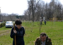 Actions “Clean Environment” and “Plant a Tree”